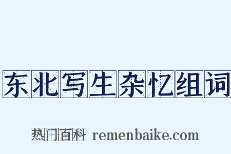 东北写生杂忆组词是什么意思的图片